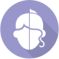Icon categoria ville